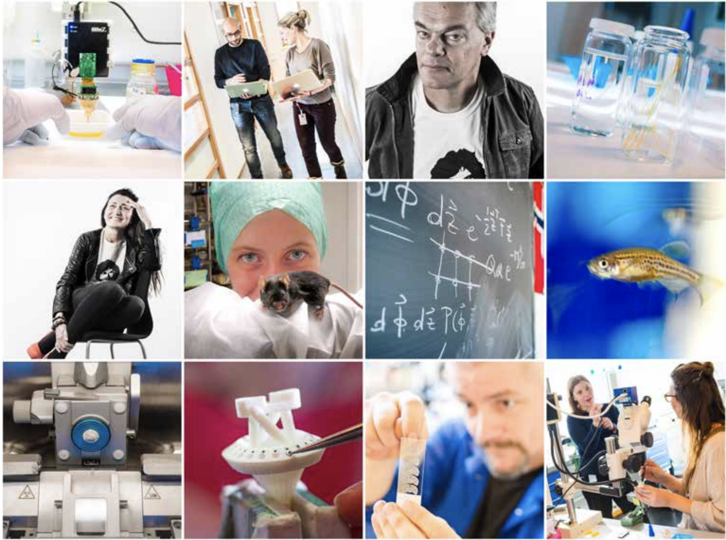 Kavli Institute Annual Report 1